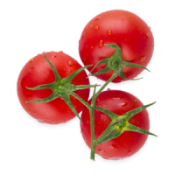 tomat_1-ps2iwd9rsh02reoige8va96c2l4olm44wh28gzkpa8